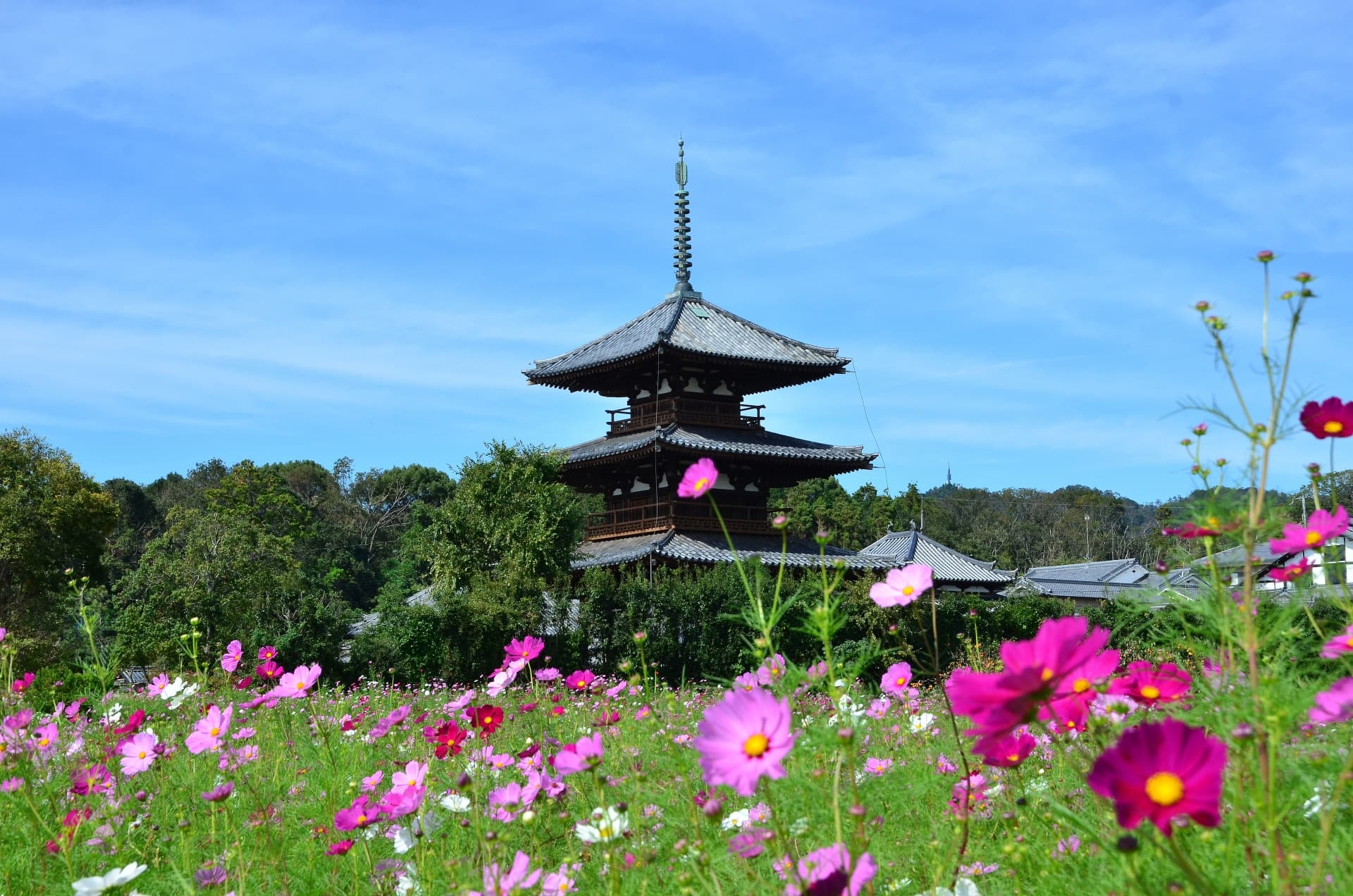 法隆寺