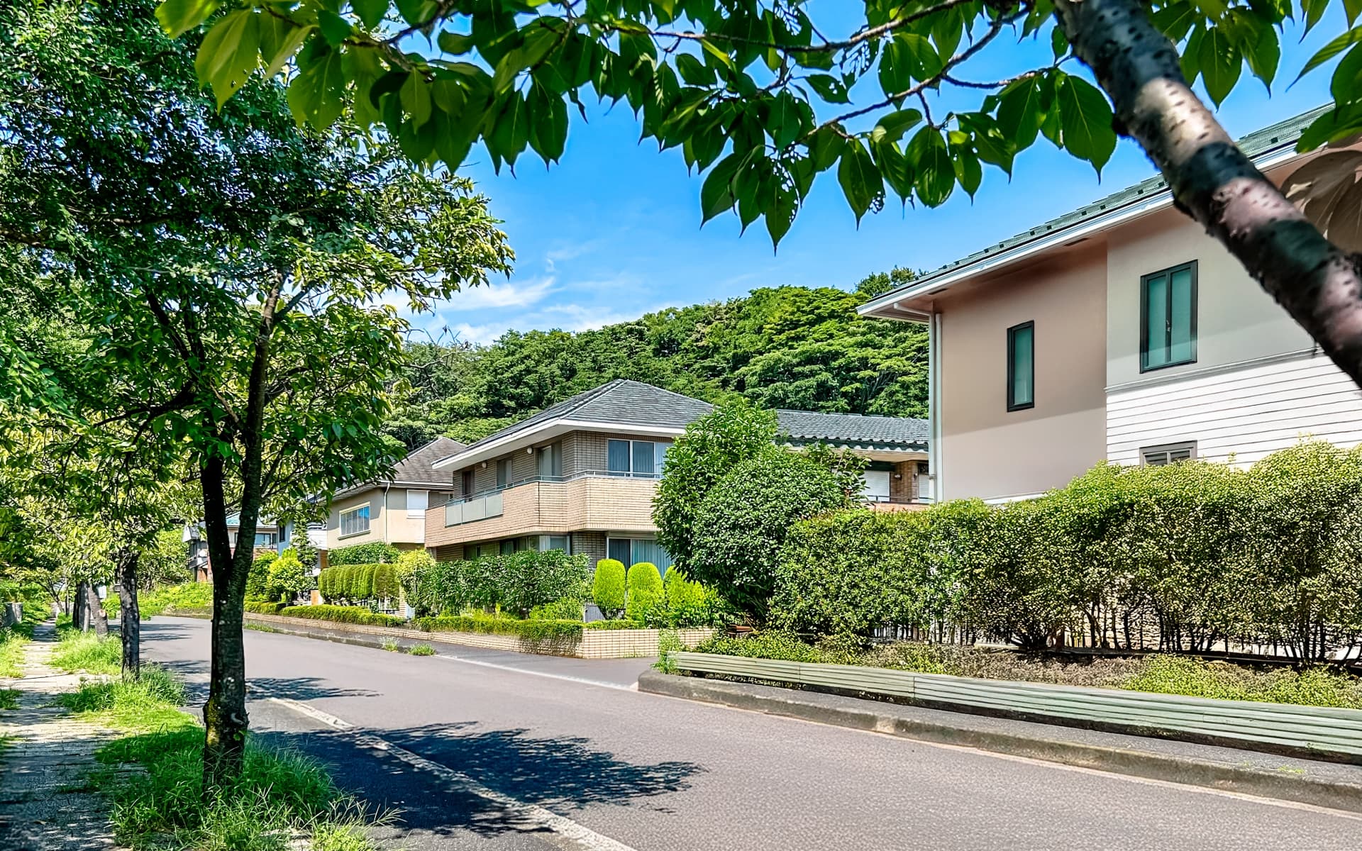 緑豊かな住宅地